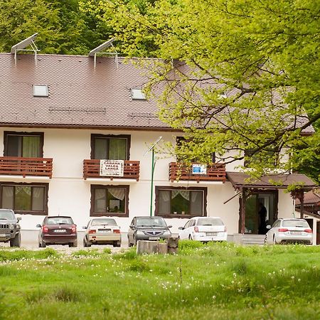 Cabana Barlogul Lupilor Vila Berevoesti Exterior foto