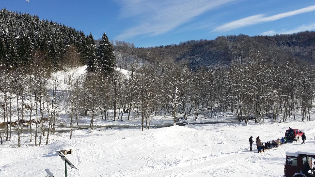 Cabana Barlogul Lupilor Vila Berevoesti Exterior foto
