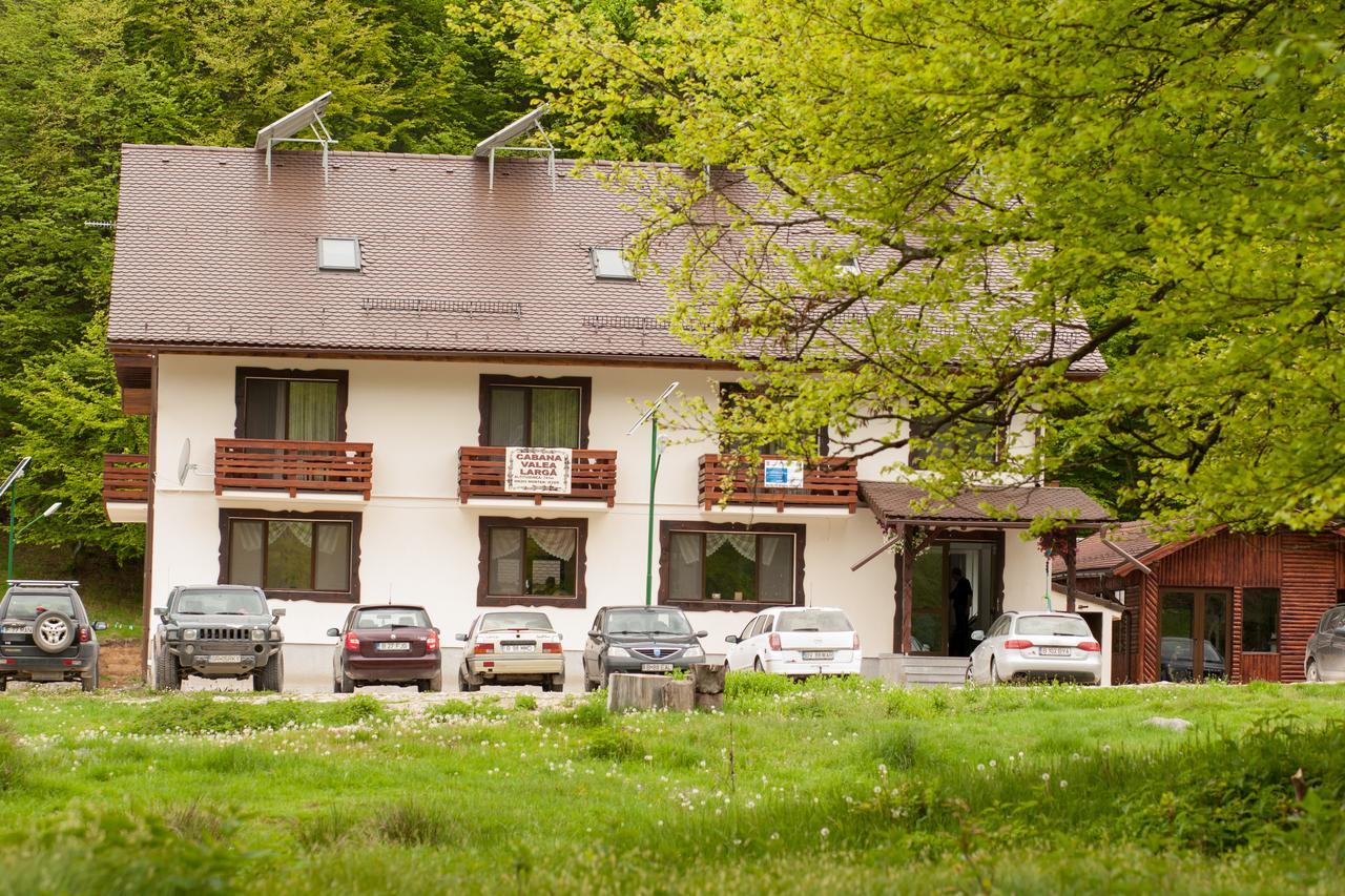 Cabana Barlogul Lupilor Vila Berevoesti Exterior foto